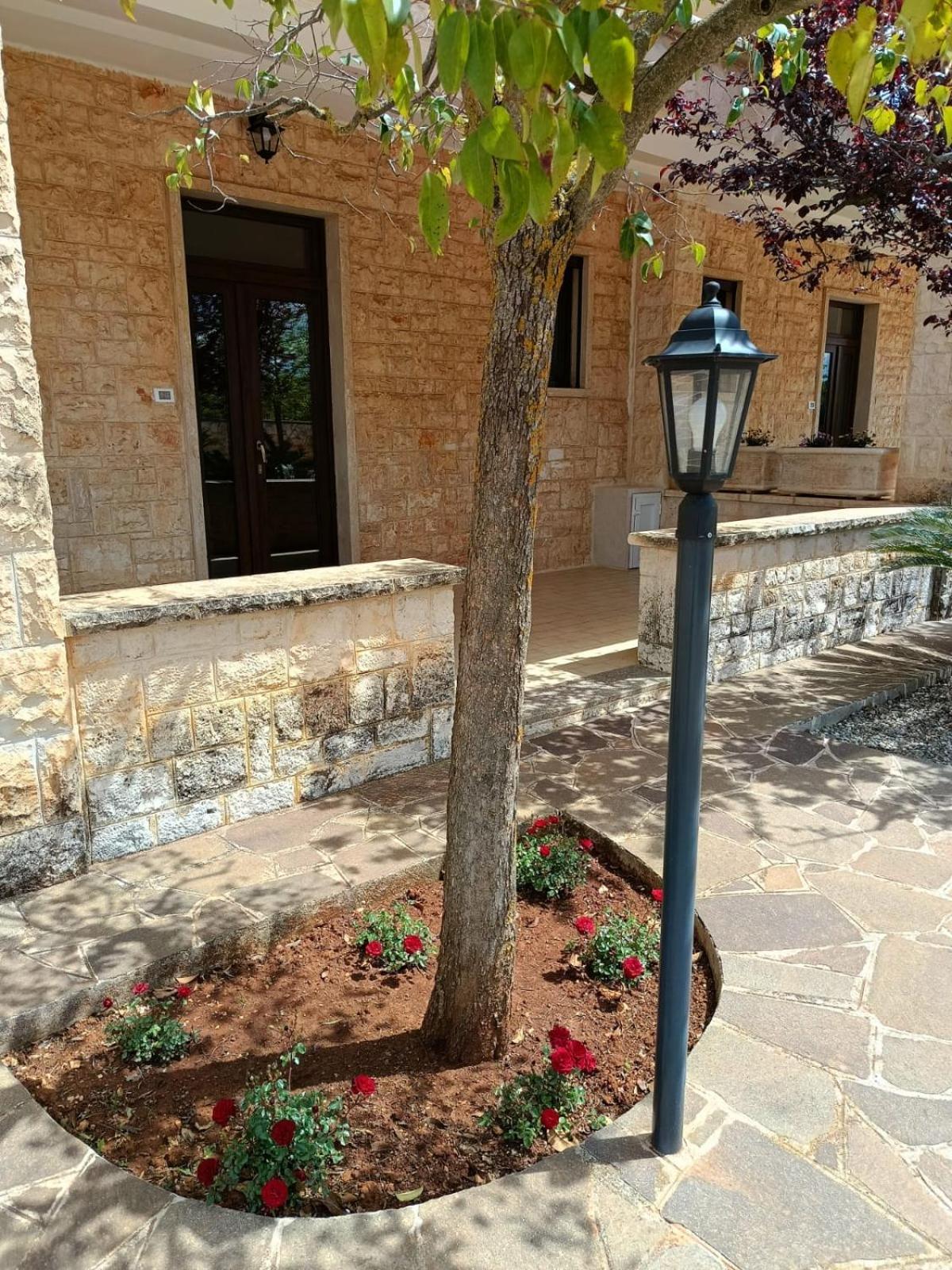 Villa Lisi Selva Di Fasano Buitenkant foto