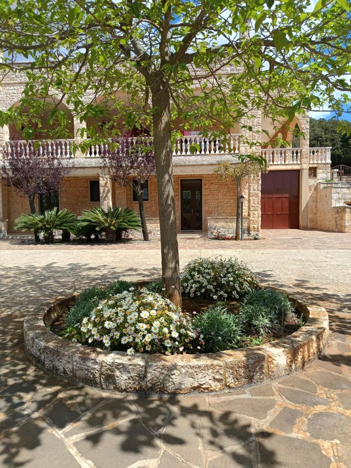 Villa Lisi Selva Di Fasano Buitenkant foto